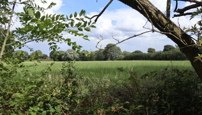 20180908 Field